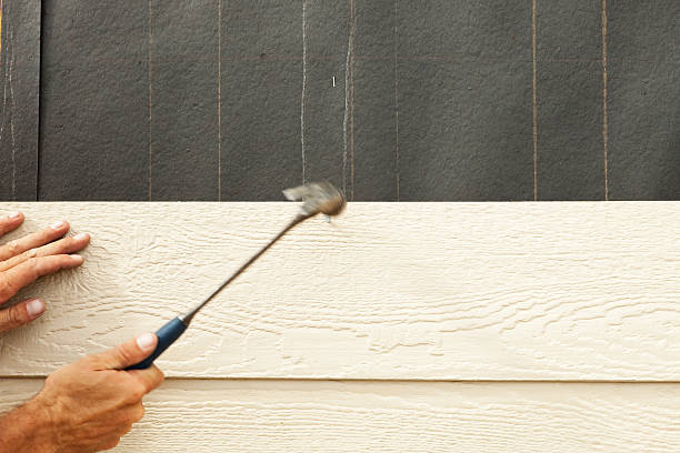 Best Stone Veneer Siding  in Pass Christian, MS